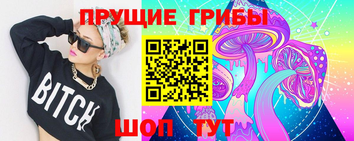 Псилоцибиновые грибы мицелий  Псилоцибиновые грибы мицелий  Чебоксары  Вход с VPN 