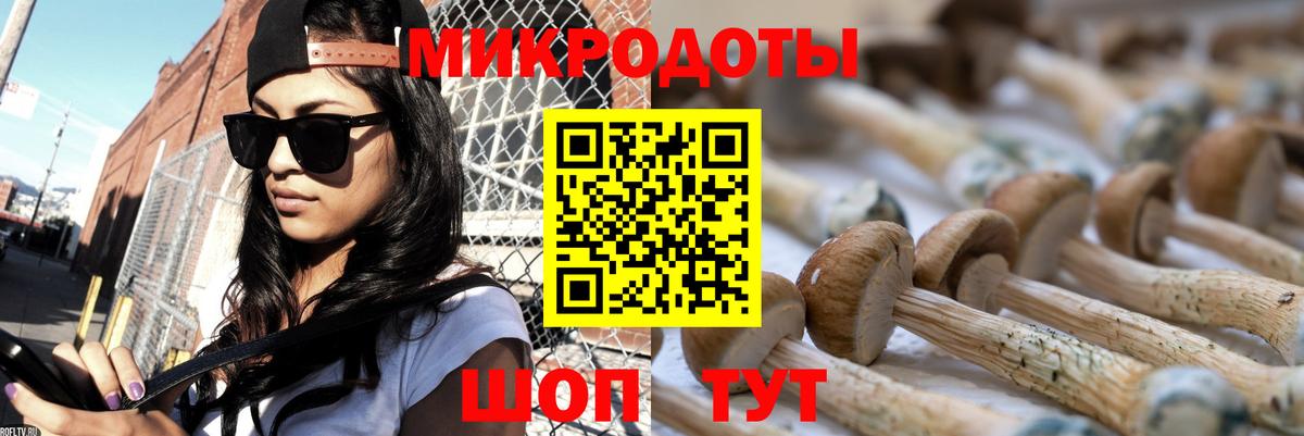 Псилоцибиновые грибы Cubensis Чебоксары